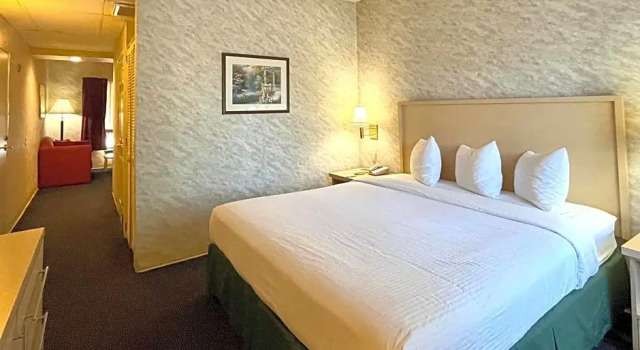 Номер Standard Park Suites Hotel