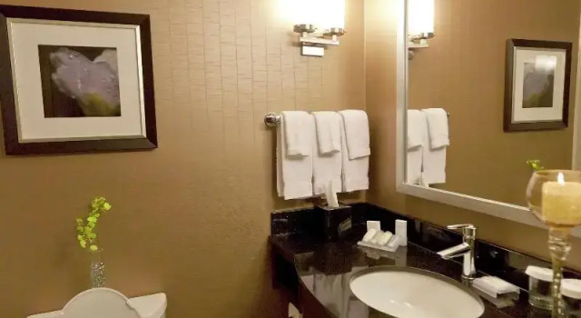 Номер Standard Hilton Garden Inn Toronto/Brampton