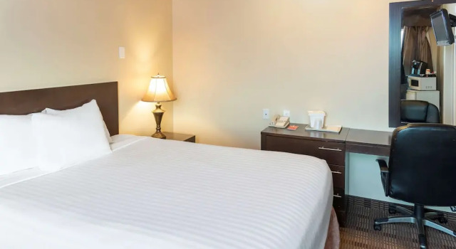 Econo Lodge Inn & Suites, Boek Hotel Hotels in Southern Alberta met zwembad, Zwembad