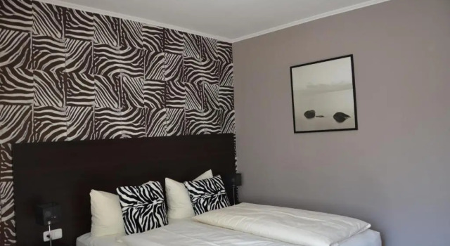 Двухместный номер Standard Hotel Rheinstein
