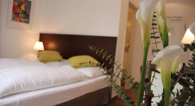 Номер Deluxe Hotel Restaurant Schwan