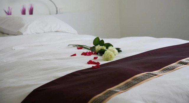 B&B Kanegem Onverbloemd