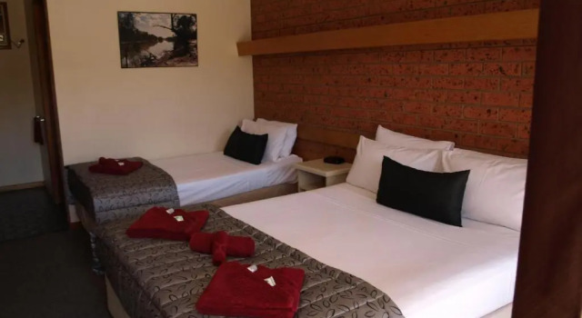 Двухместный номер Standard Old Coach Motor Inn Echuca