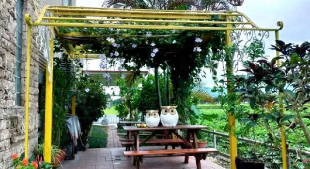 Evergreen Garden House
