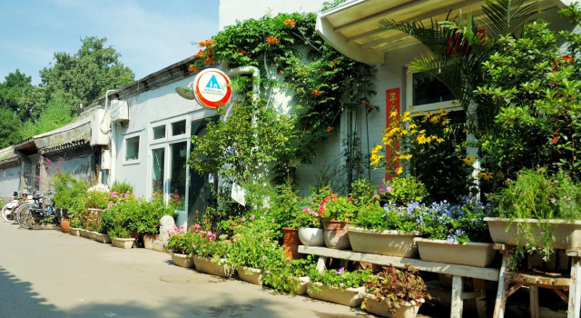 Кровать в общем номере (женский номер) Peking Garden Youth Hostel-Houhai&Nanluoguxiang&Drum tower-Cafe&Bar&Movie night&Social area&Rooftop