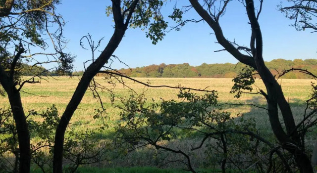Номер Standard Old Hunters Lodge Whipsnade Limited