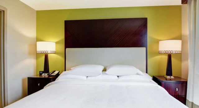 Двухместный люкс с 2 комнатами Embassy Suites by Hilton Savannah Airport