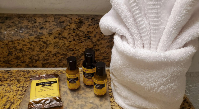 Четырёхместный номер Standard Best Western Plus Milwaukee Airport Hotel & Conference Center