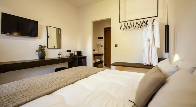 Двухместный номер Standard Цокольный этаж BOHOTEL Eleonas