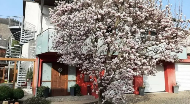 Holiday Apartment Magnolia, Забронировать Апартаменты/квартира Окфен Trier-Saarburg
