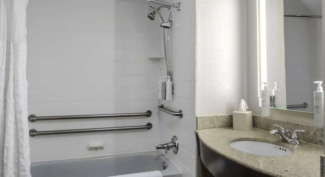 Номер Standard Hilton Garden Inn Sarasota-Bradenton Airport