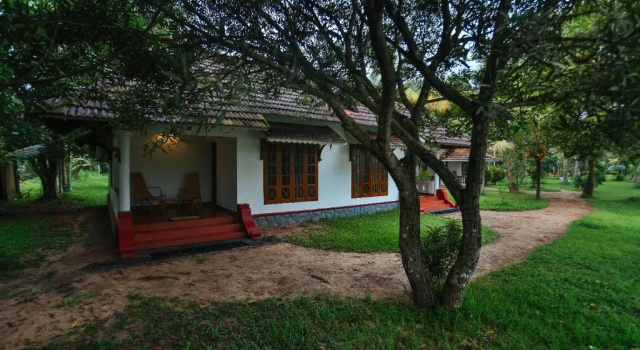 Люкс Palmgrove Lake Resort