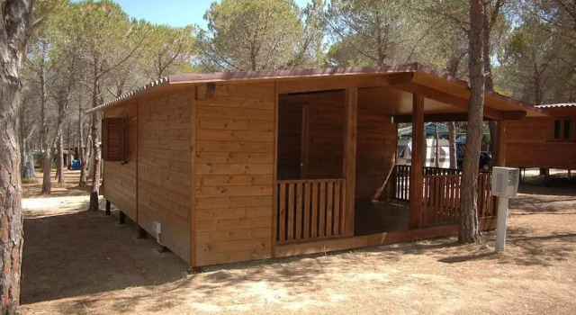 Бунгало Standard Villaggio Camping Calapineta