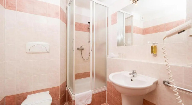 Номер Standard Hotel Česká Koruna