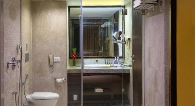 Номер Executive Novotel Imagica Khopoli Hotel