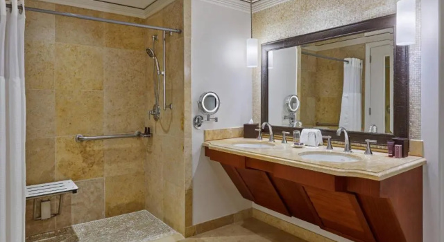 Двухместный номер Deluxe The Ritz-Carlton Maui, Kapalua