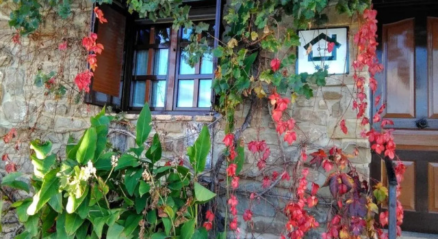 Коттедж Alojamiento Rural La Cañada