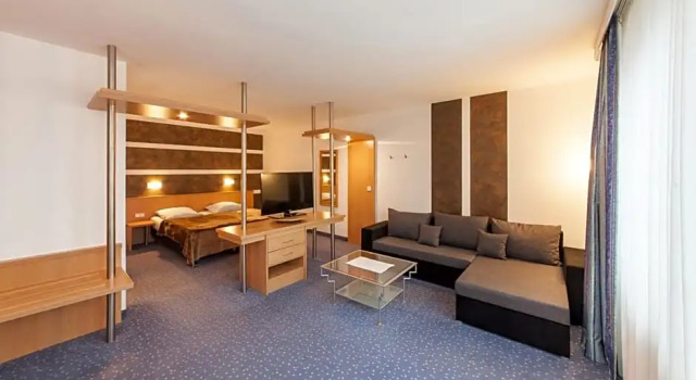 Двухместный номер Superior Garner Hotel Cottbus Süd by IHG