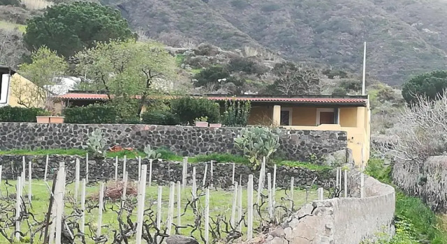 Студия la casa di titti e jack