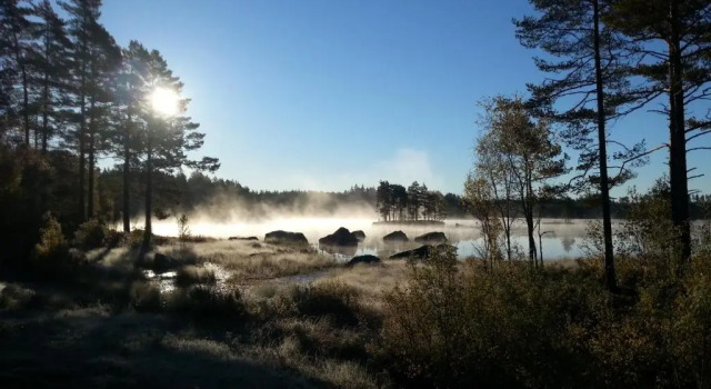 Коттедж с видом на сад Nature Resort Tiveden