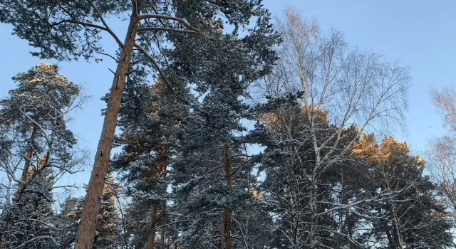 Коттедж Standard с балконом Коттедж в микрорайоне Чистые Пруды