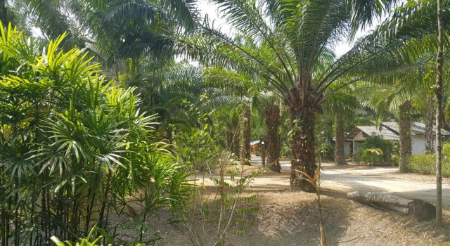 057 Resort, Забронировать Курортный отель Отели Южного Таиланда с парковкой, Парковка