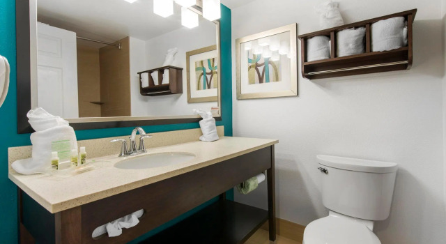 Номер Standard Holiday Inn Savannah South - I-95 Gateway by IHG