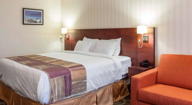 Standardní Dvoulůžkový s manželskou postelí pokoj Hotel Gander
