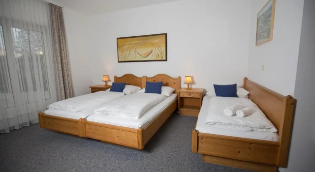 Трёхместный номер Standard Grandhotel Niederösterreichischer Hof