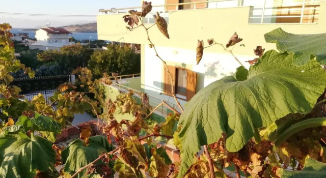 Апартаменты Deluxe Apartaments skrapalli