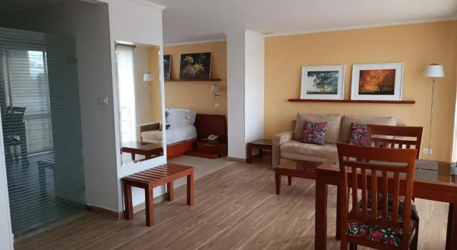 Люкс Standard Hotel Boutique Confort Suites
