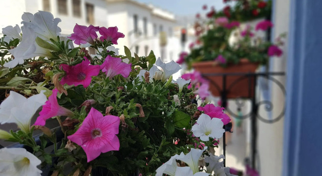 Hostal Casa del Mar