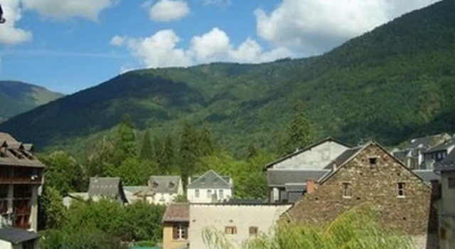 Appartement Bagnères-de-Luchon, 2 pièces, 4 personnes - FR-1-313-166