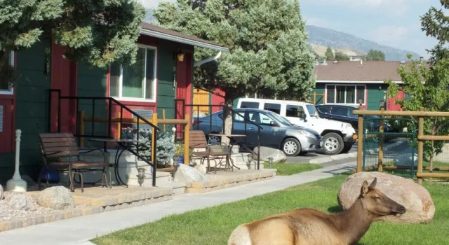 Люкс Deluxe Yellowstone Gateway Inn