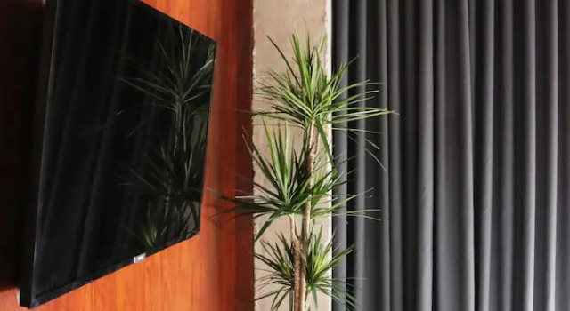 Люкс Alicante Aparthotel Evolution