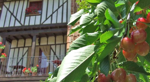 Коттедж Casas rurales Caño Chico y La Fuente