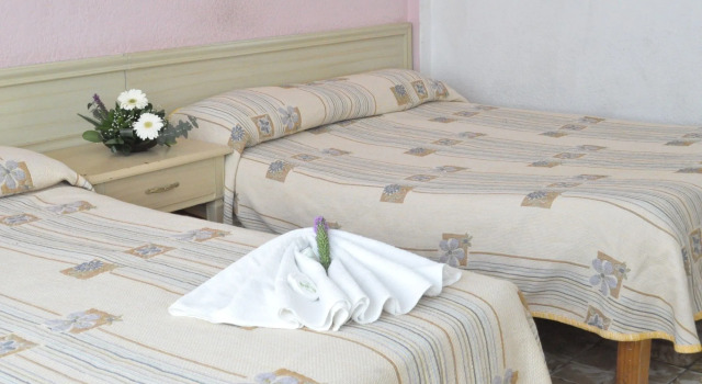 Hotel Viena, Prenota Hotel Irapuato 