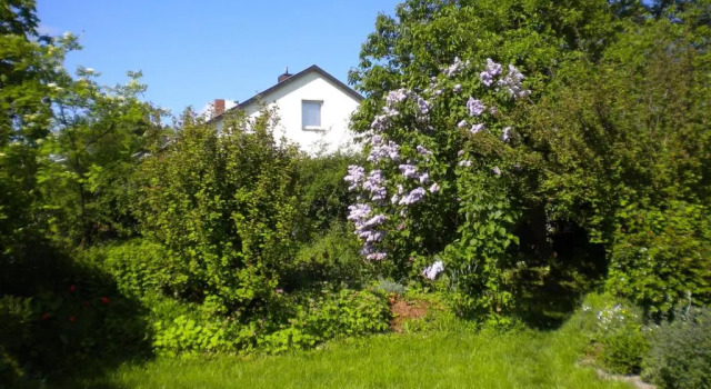 Ferienwohnung "Eifelstueffje", Boek Hotel Hotels in Mechernich met parkeren, Parkeren
