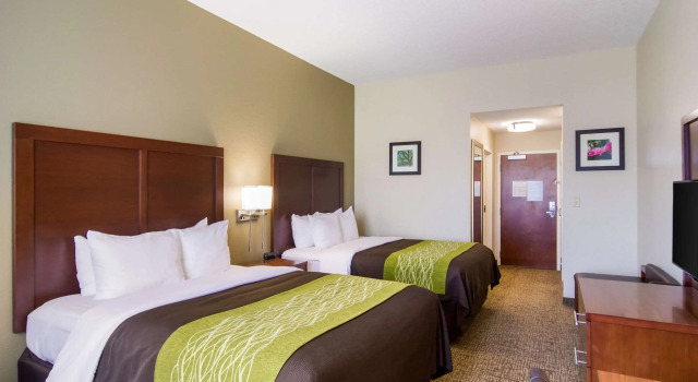 Четырёхместный номер Standard Comfort Inn Blackshear Hwy 84