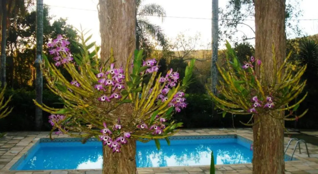 Hotel Fazenda Bandeirantes