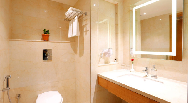 Номер Deluxe Nataraj Sarovar Portico