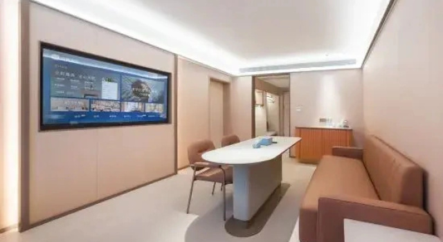 Двухместный люкс Deluxe HanTing Hotel (Dancheng)