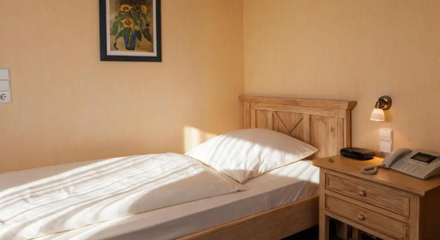 Номер Standard Hotel Backenköhler