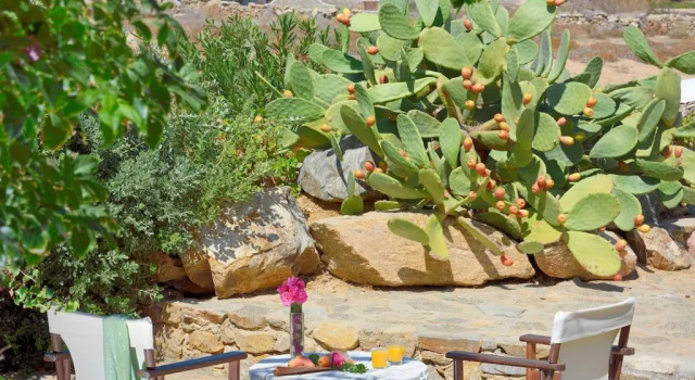 Двухместный номер Standard Mykonos AG Villas in Ftelia Beach