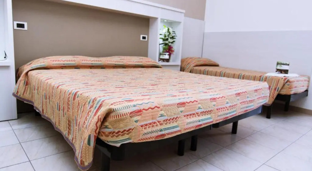 Двухместный номер Standard Hotel President