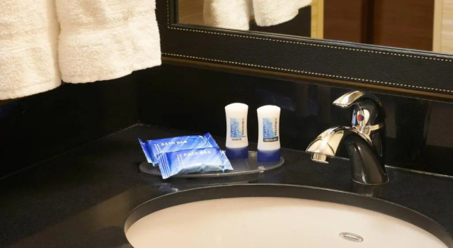 Номер Standard Fairfield Inn & Suites by Marriott Frankenmuth