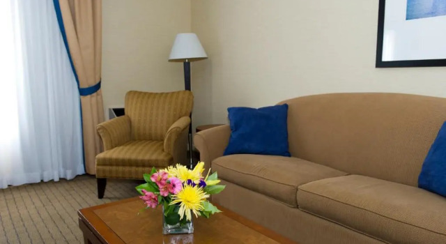 Люкс Sandman Hotel & Suites London Downtown