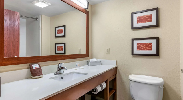 Четырёхместный люкс Comfort Inn & Suites Orlando North
