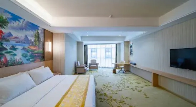 Люкс Deluxe Vienna International Hotel (Li County Administrative Center New District)