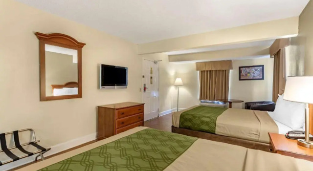 Двухместный люкс Econo Lodge Inn & Suites Lugoff